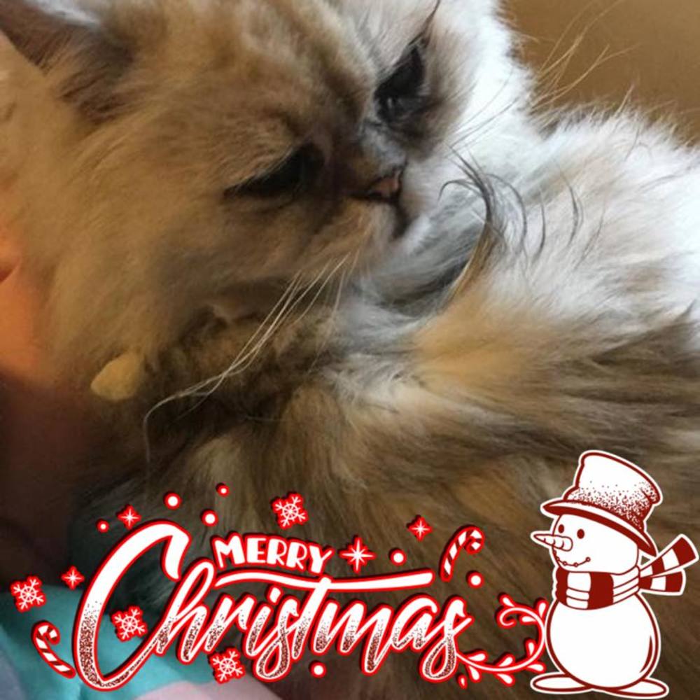 Meet your Posher, Sherri